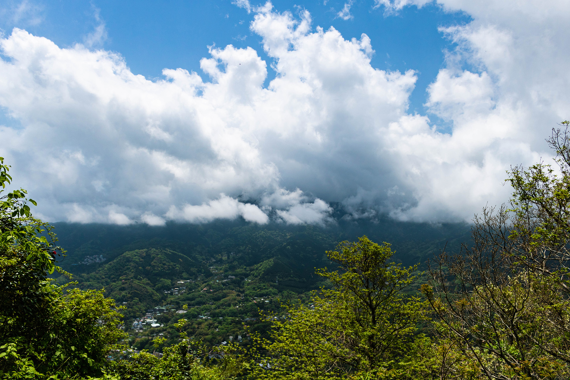 Green landscape with clouds covering the tops of the mountains.